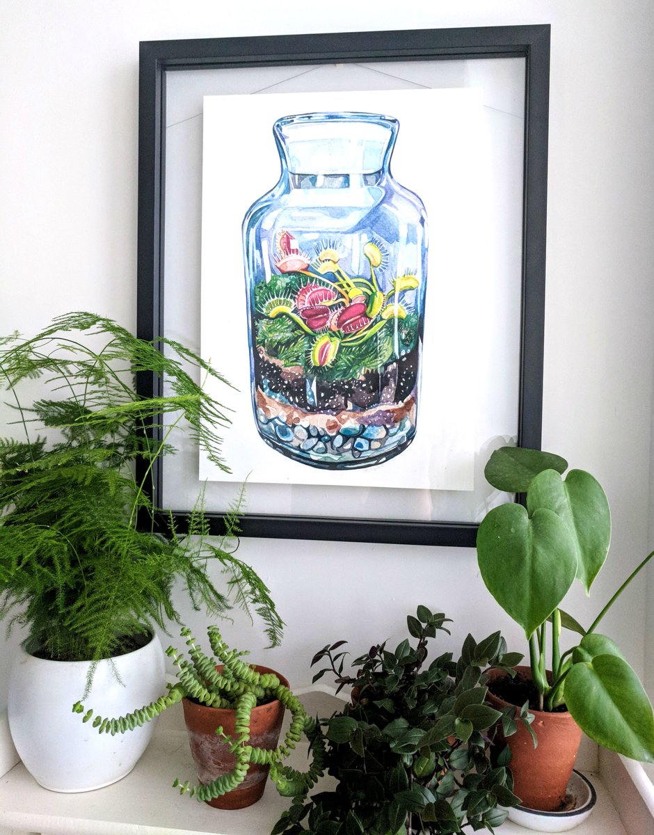 finnleyelliott tweet media