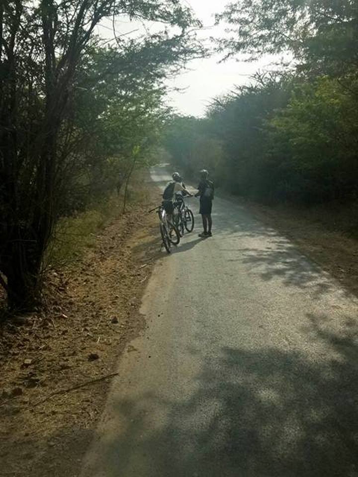 letourdeindia's tweet photo. our Leader Umesh shared us these lovely photos of #RajasthanBicyclestour, the fantastic country side they paddle all through #samodepalace #lakshmansagar #deogarhmahal #rawlanarlai and today they arrived to the #cityoflakes #udaipur at #lakepalace https://t.co/UxB4lmi2Mj
