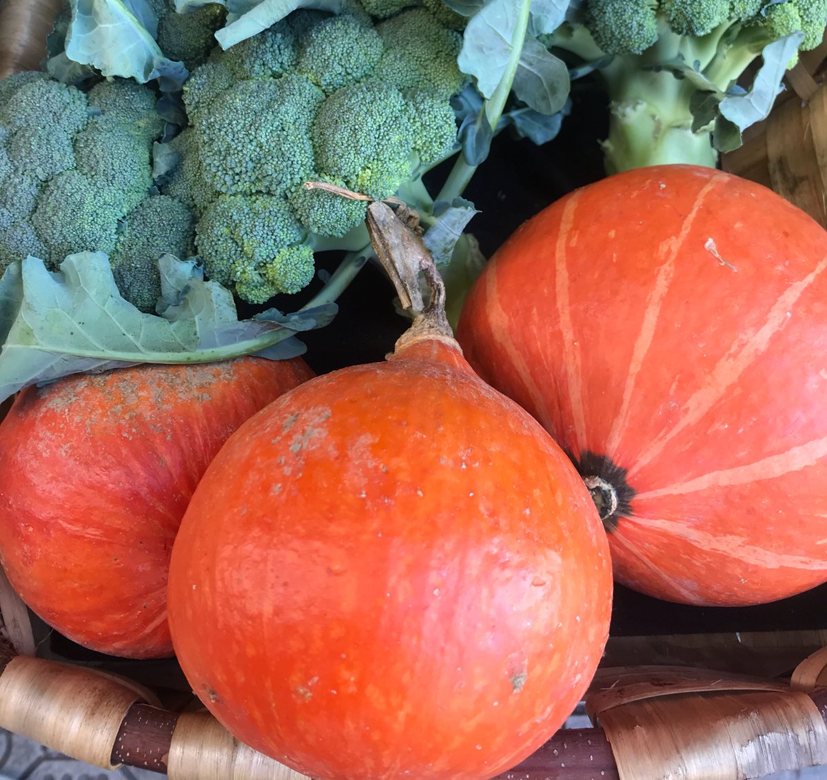 Kalabaza-krema bero beroa 💚 lurlanbistrot.eus/#karta #zizkamizkak #bazkariak #afariak