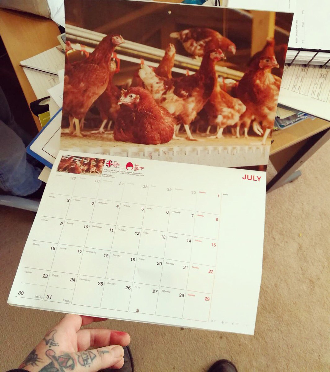 Some of our girls featuring in the 2018 BFREPA calendar! 🐥 #freerangeeggs #pullets #BFREPA #lovefreerangeeggs #yorkshire #goldstandard #models 🐥 <a href="/LoveFreeRange/">Love Free Range Eggs</a>