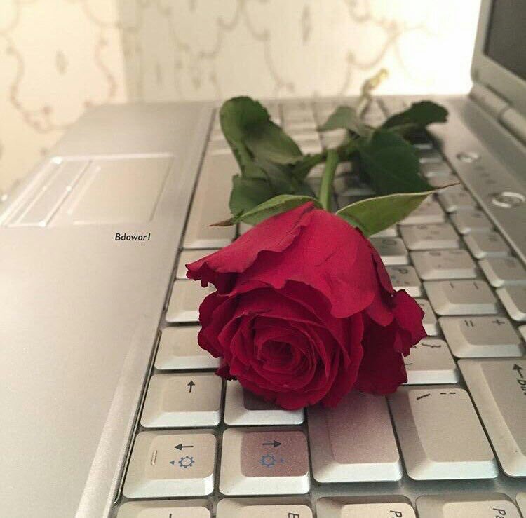 مُؤلِم
أَن يُعآهِدُوكَ عَلى البَقآآء .. 
فَ يَكتَفُوآ بِ أَن يَتَغَيَرُو كَثِيراً .. 
لِ يُجبِرُوكَ أَنتَ عَلى الرَحِيل ...