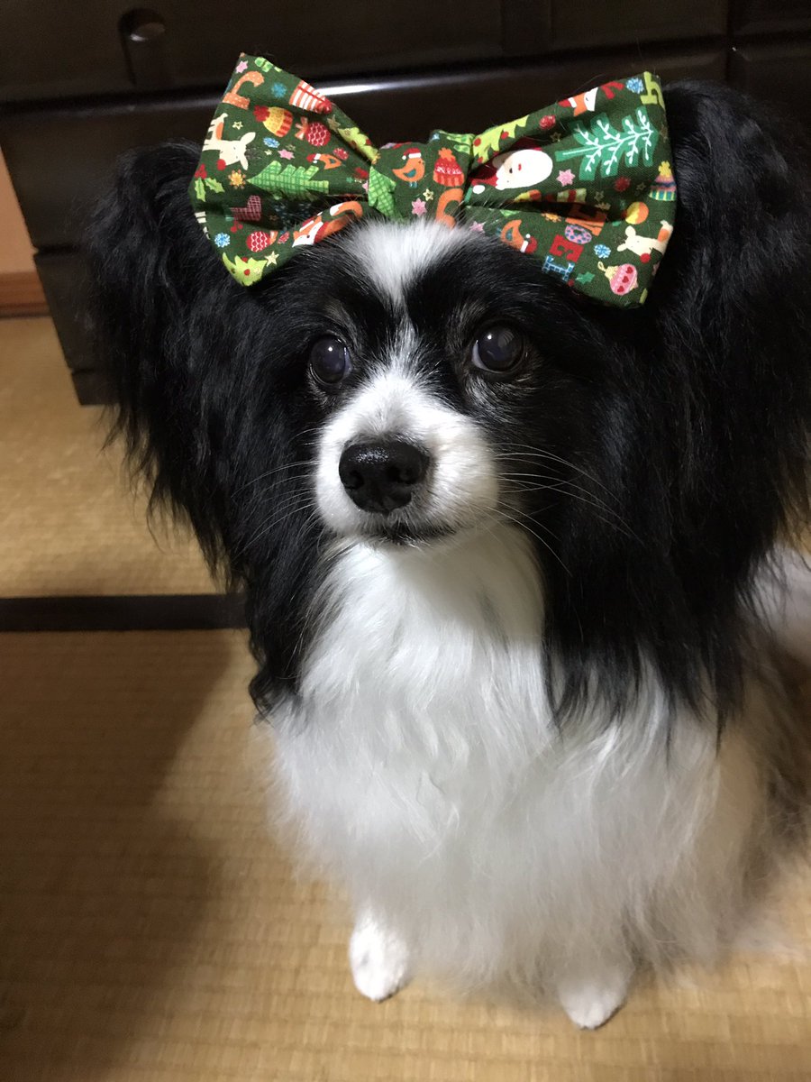 風俗を辞めてしまってもうつぼみんではないわけで、Twitterどうしようか迷う(><)