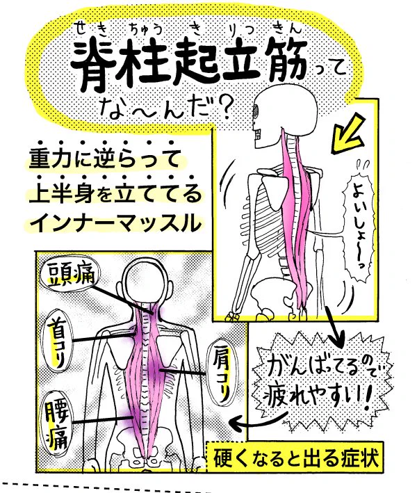 ぐぎぎぎぎ・・・腰が痛えぇぇぇ！！　腰痛に困ったときはこのストレッチを試してみよう！！