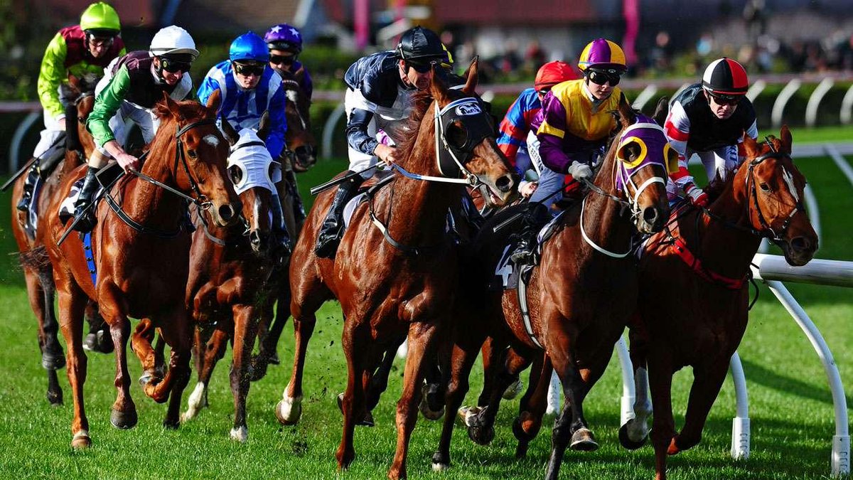 Online horse racing Online horse racing