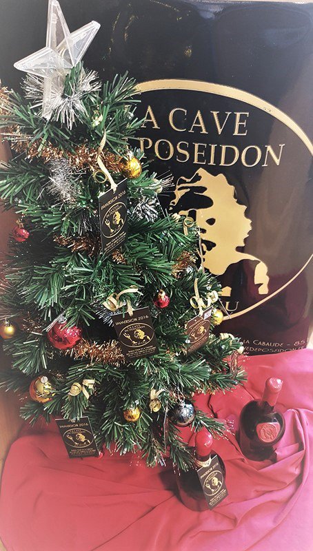 Envie d'un cadeau original pour les fêtes ? Déposez votre bouteille à notre bureau Atlantique Scaphandre, nous vous remettons une jolie carte à déposer au pied du sapin. L'heureux bénéficiaire aura le loisir de venir la récupérer, après un an passé dans les profondeurs de l'océan