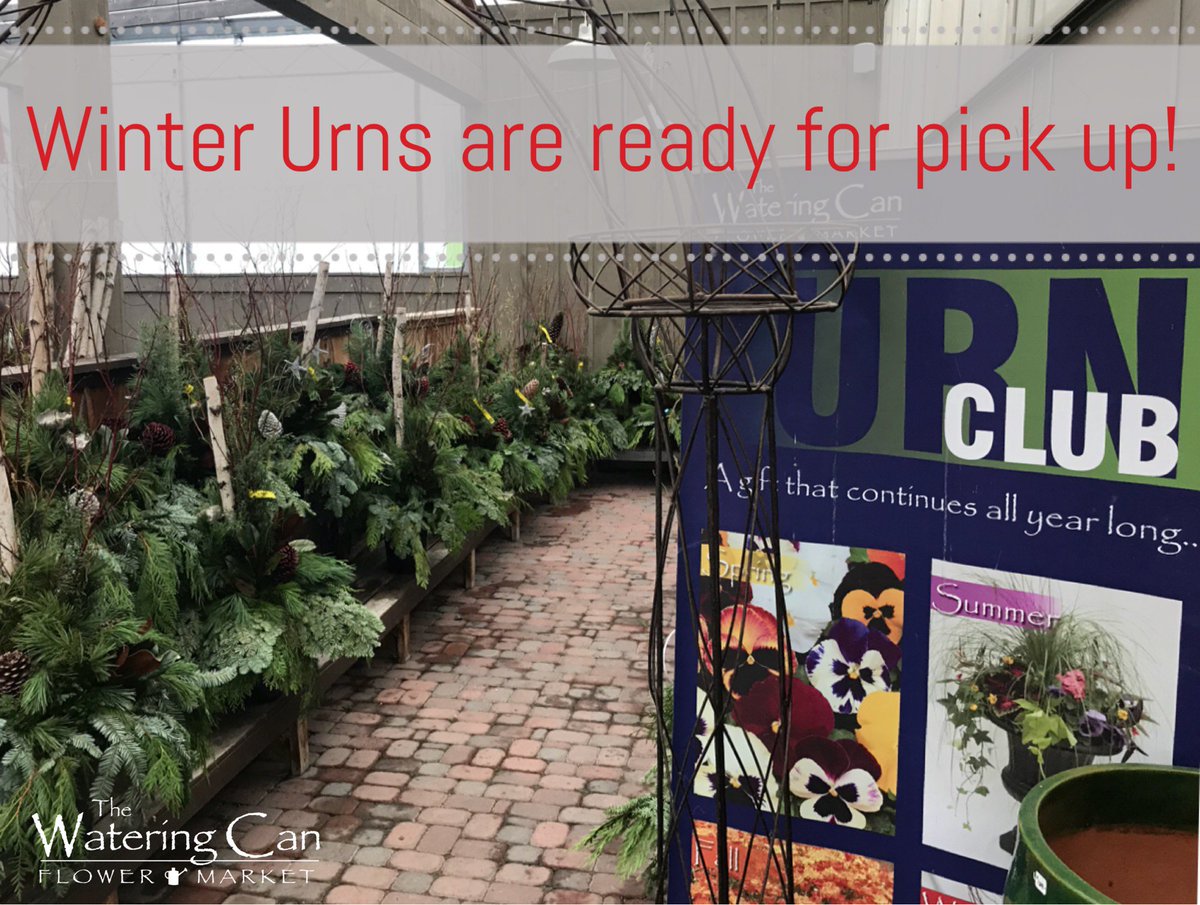 thewateringcan's tweet photo. Reminder to all Urn Club Members! Days are winding down to pick up your winter urns, don’t let your port have pot sit empty! https://t.co/MjGeLqV5G1