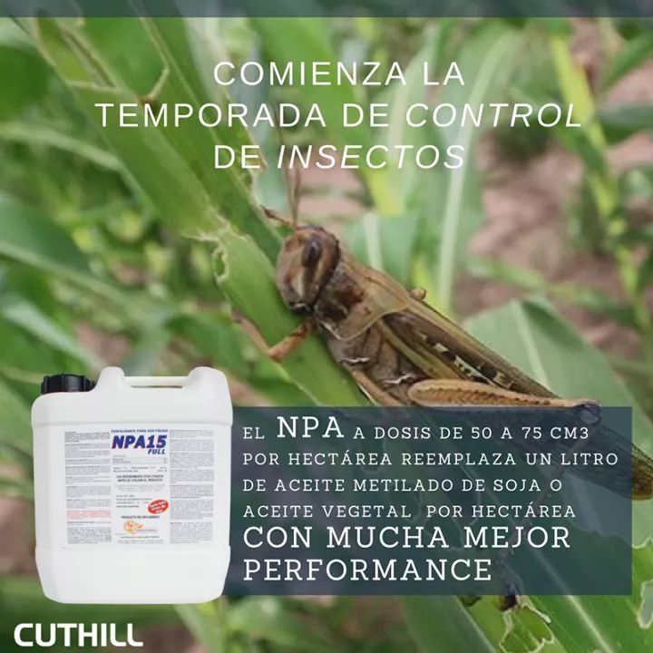 Cuthill (@cuthillagro) on Twitter photo Con las altas temperaturas aumentan las plagas en los cultivos 🐜🌿🌻☀️
Conoces los beneficios del agente #NPA #15FULL?
Para más información escribinos a jcuthill@cuthill.com.ar
#Cuthill #Conciencia en #Pulverizaciones Con las altas temperaturas aumentan las plagas en los cultivos 🐜🌿🌻☀️
Conoces los beneficios del agente #NPA #15FULL?
Para más información escribinos a jcuthill@cuthill.com.ar
#Cuthill #Conciencia en #Pulverizaciones