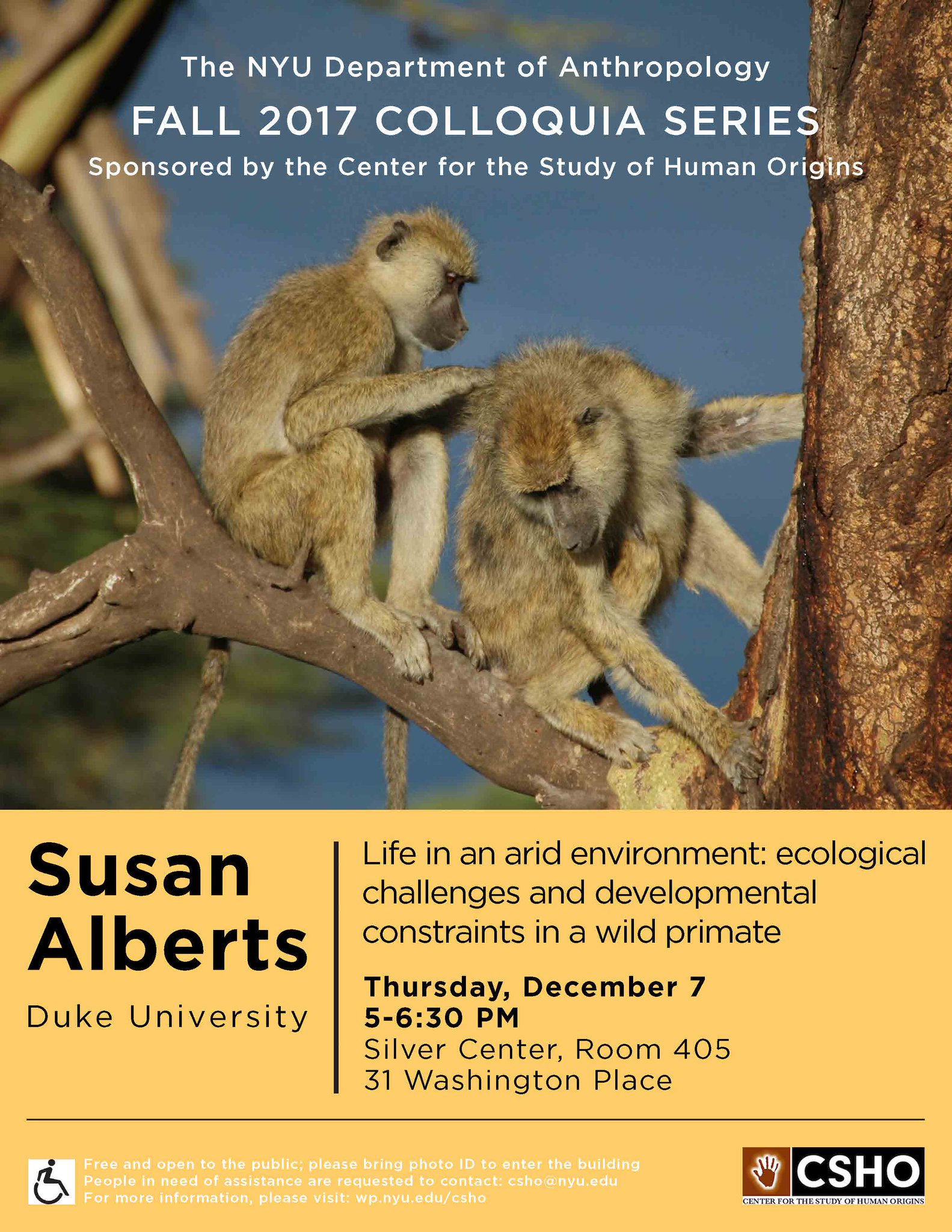 Nyu Anthropology On Twitter Susan Alberts Duke University