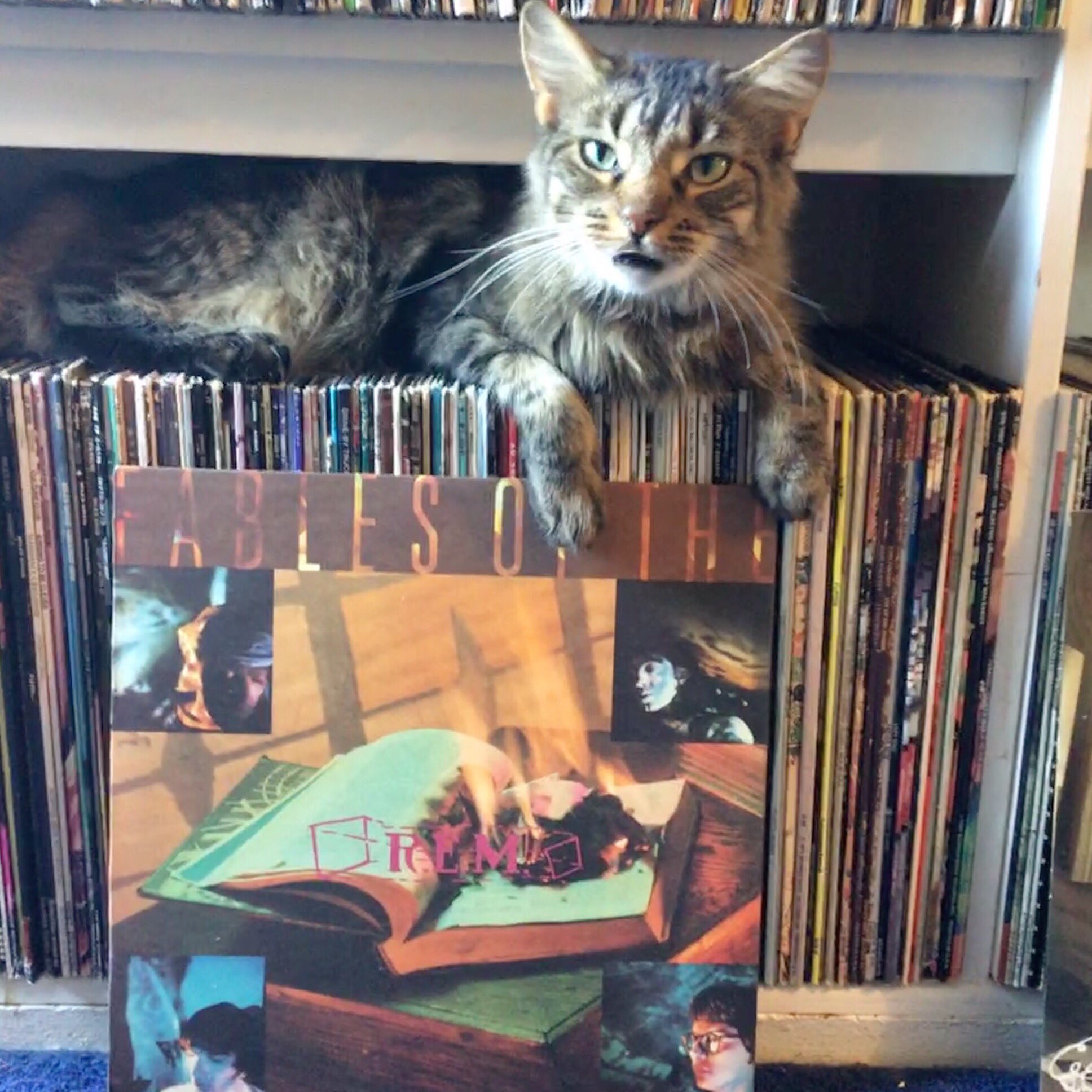 Happy 61st birthday to Peter Buck. 