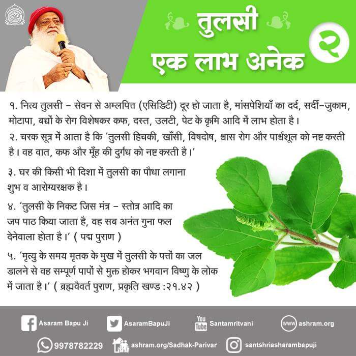 Sant Shri Asharamji Bapu (@asharamjibapu_) on Twitter photo рддреБрд▓рд╕реА рдПрдХ рд▓рд╛рдн рдЕрдиреЗрдХ
рдореГрддреНрдпреБ рдХреЗ рд╕рдордп рдореГрддрдХ рдХреЗ рдореБрдЦ рдореЗрдВ рддреБрд▓рд╕реА рдХреЗ рдкрддреНрддреЛрдВ рдХрд╛ рдЬрд▓ рдбрд╛рд▓рдиреЗ рд╕реЗ рд╡рд╣ рд╕рдореНрдкреВрд░реНрдг рдкрд╛рдкреЛрдВ рд╕реЗ рдореБрдХреНрдд рд╣реЛрдХрд░ рднрдЧрд╡рд╛рди рд╡рд┐рд╖реНрдгреБ рдХреЗ рд▓реЛрдХ рдореЗрдВ рдЬрд╛рддрд╛ рд╣реИ |
рддреБрд▓рд╕реА рд╣рд┐рдЪрдХреА, рдЦрд╛рдБрд╕реА, рд╡рд┐рд╖рджреЛрд╖, рд╢реНрд╡рд╛рд╕ рд░реЛрдЧ рдФрд░ рдкрд╛рд░реНрд╢реНрд╡рд╢реВрд▓ рдХреЛ рдирд╖реНрдЯ рдХрд░рддреА рд╣реИ | рд╡рд╣ рд╡рд╛рдд, рдХрдл рдХреЛ рдирд╖реНрдЯ рдХрд░рддреА рд╣реИ |
m.facebook.com/story.php?storтАж рддреБрд▓рд╕реА рдПрдХ рд▓рд╛рдн рдЕрдиреЗрдХ
рдореГрддреНрдпреБ рдХреЗ рд╕рдордп рдореГрддрдХ рдХреЗ рдореБрдЦ рдореЗрдВ рддреБрд▓рд╕реА рдХреЗ рдкрддреНрддреЛрдВ рдХрд╛ рдЬрд▓ рдбрд╛рд▓рдиреЗ рд╕реЗ рд╡рд╣ рд╕рдореНрдкреВрд░реНрдг рдкрд╛рдкреЛрдВ рд╕реЗ рдореБрдХреНрдд рд╣реЛрдХрд░ рднрдЧрд╡рд╛рди рд╡рд┐рд╖реНрдгреБ рдХреЗ рд▓реЛрдХ рдореЗрдВ рдЬрд╛рддрд╛ рд╣реИ |
рддреБрд▓рд╕реА рд╣рд┐рдЪрдХреА, рдЦрд╛рдБрд╕реА, рд╡рд┐рд╖рджреЛрд╖, рд╢реНрд╡рд╛рд╕ рд░реЛрдЧ рдФрд░ рдкрд╛рд░реНрд╢реНрд╡рд╢реВрд▓ рдХреЛ рдирд╖реНрдЯ рдХрд░рддреА рд╣реИ | рд╡рд╣ рд╡рд╛рдд, рдХрдл рдХреЛ рдирд╖реНрдЯ рдХрд░рддреА рд╣реИ |
m.facebook.com/story.php?storтАж