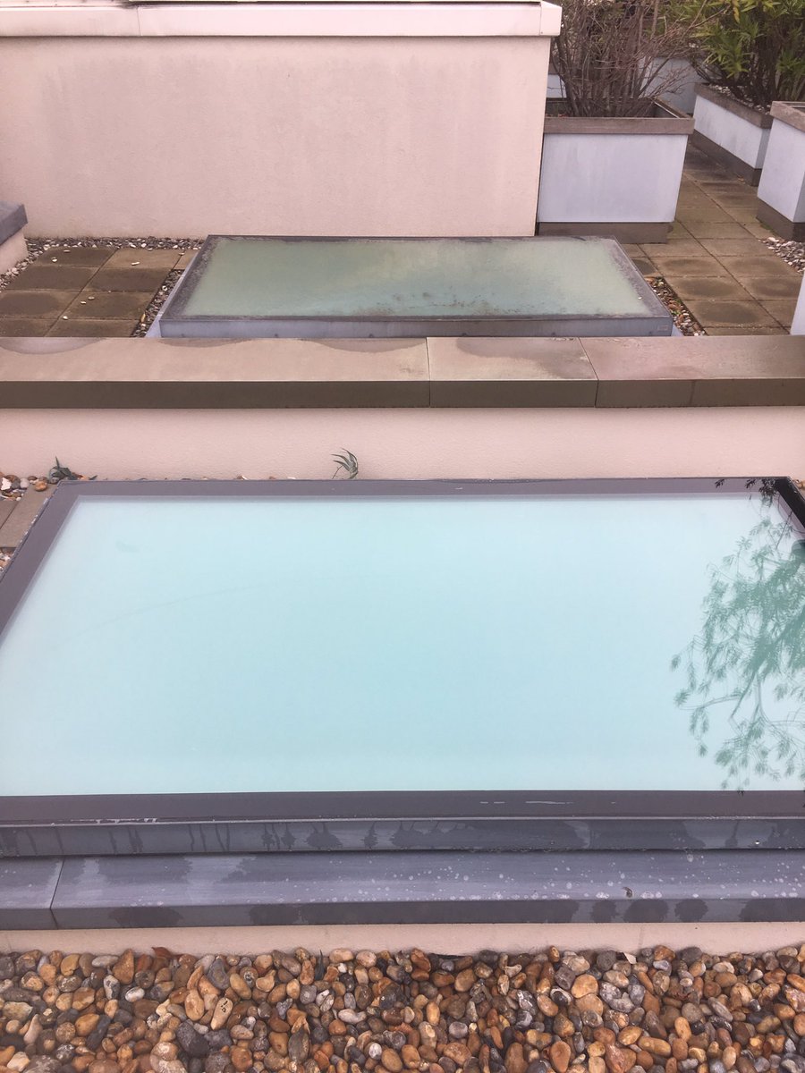 DMP Window Cleaning tweet media