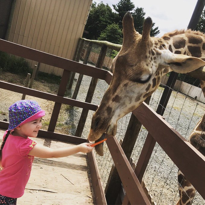 DQXf2fsW4AAhBOn?format=jpg&name=small