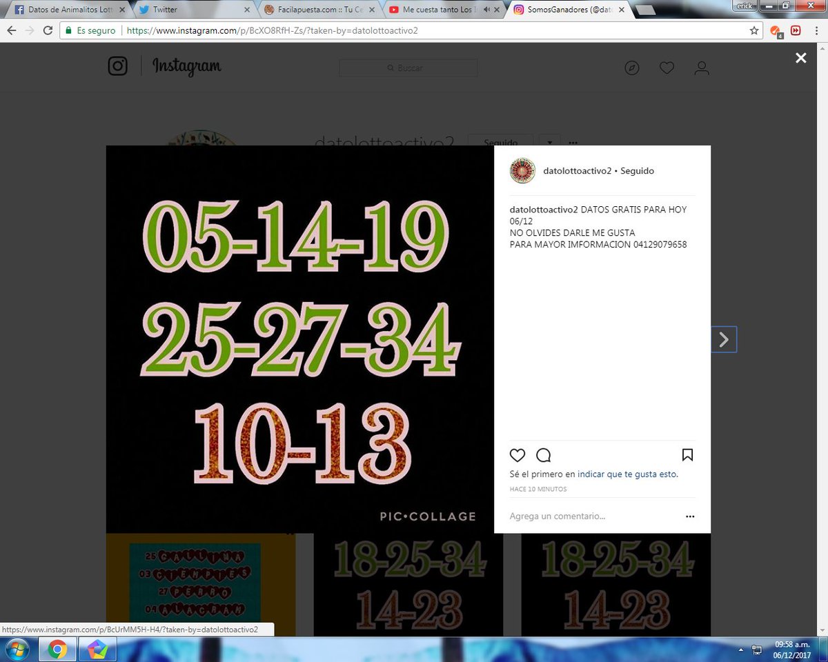 SOMOSGANADORE's tweet image. NO OLVIDES SEGUIR MI CUENTA DE @instagram  #SomosGanadores  PUBLICADO YA LOS DATOS DE HOY 06/12
@RuletaActiva1 @lottoactivo1 @DatosLotoActivo @Datosanimalitos @lotoactivo2017 @lottoactivo @lotto_activo
