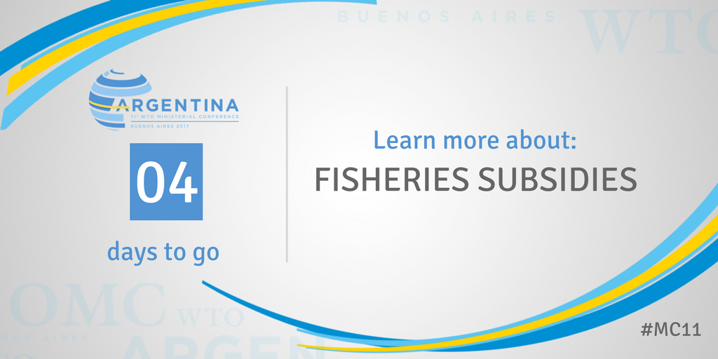 wto's tweet photo. WTO members are negotiating to limit harmful #fisheriessubsidies and deliberating on what agreement can be reached by #MC11 in Buenos Aires. Read the briefing note on this and other topics: https://t.co/2u0uwg0RfM https://t.co/q2DcUGMSjc