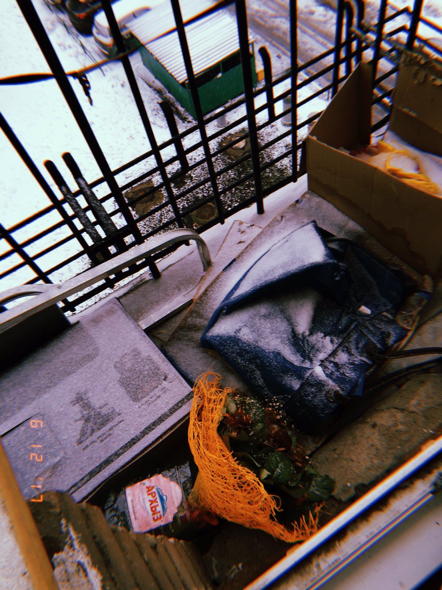 Nika Golovа tweet media