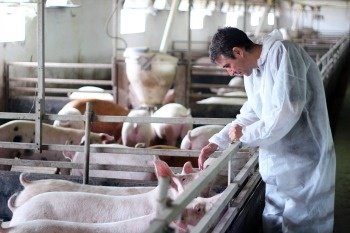 FarmingData's tweet image. Blog: 4 Major Trends to Follow in the #Veterinary Services Industry hubs.ly/H09lWHM0 #mrx #marketresearch #pets #livestock