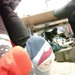 Photo by Nancy (@Nancysaurus)