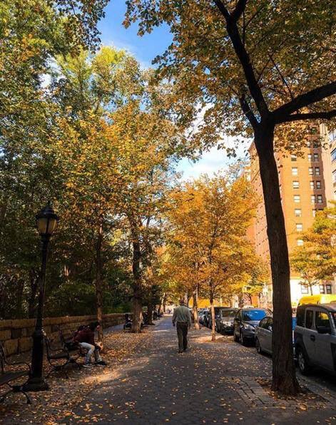 RinconesNY's tweet photo. Mañanas de absoluta tranquilidad cerca del Riverside Park en pleno Upper West Side 😍🗽❄️
📍110th Street/Broadway Avenue https://t.co/ywLIcFOM1M