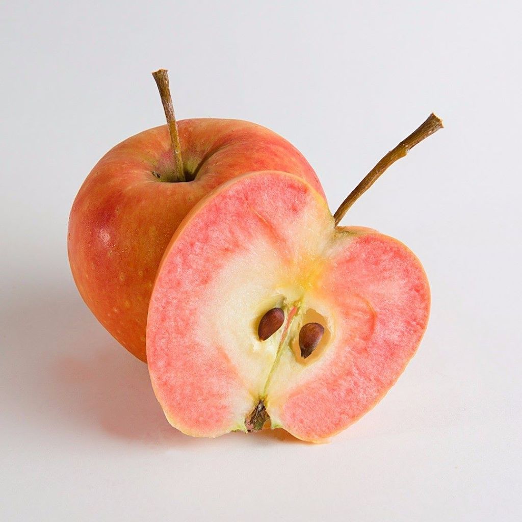 Scion Fruits Ltd tweet media