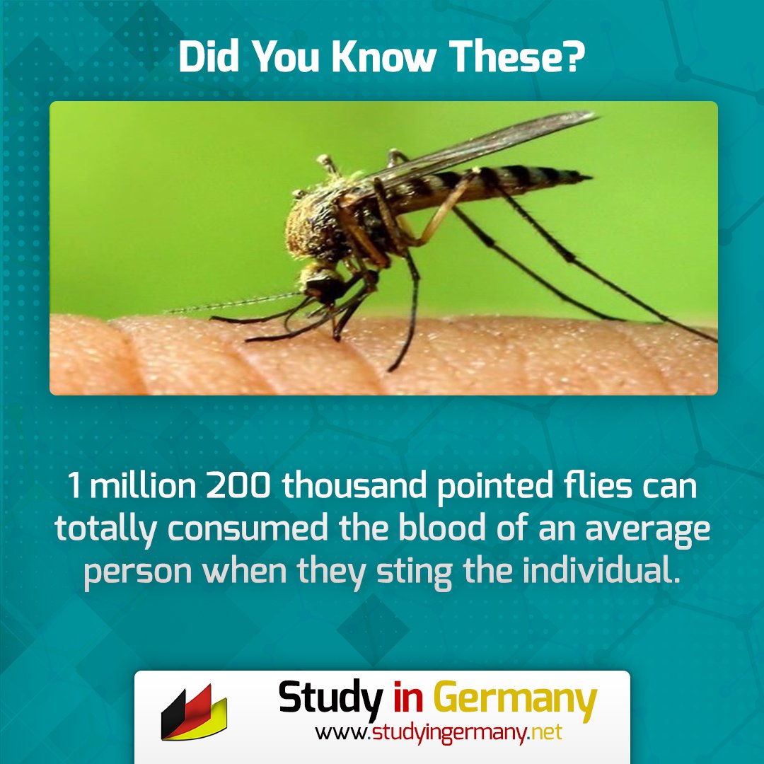 nstudyingermany's tweet photo. Did You Know These?

https://t.co/vv9SF98Y2H

#Animal #animal #animallovers #animallover #animalsofinstagram #animales #animalphotography #animalrights #animalkingdom #animaladdicts #animallove #animali #animalplanet #animalart #animalprint #animalsco #animalrescue #animalsofig https://t.co/9Bt7hvNPX9