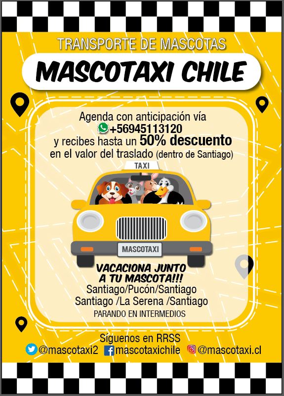 mascota taxi +56945113120 tweet media