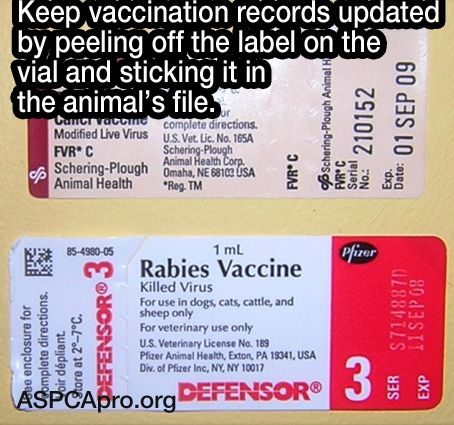 firstfamilypet1's tweet image. Good to know! #PetHack #PetTips