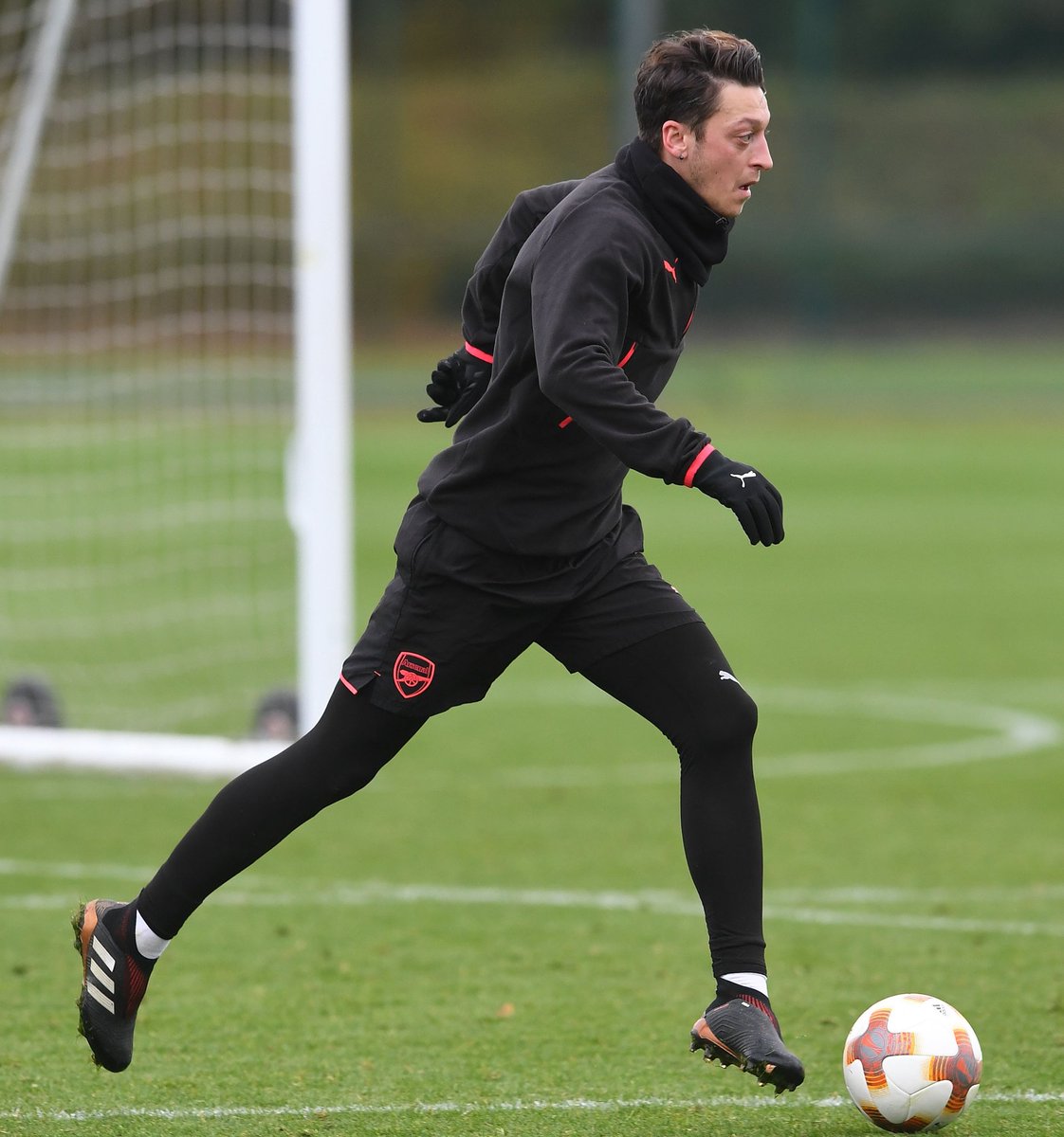 mesut ozil predator
