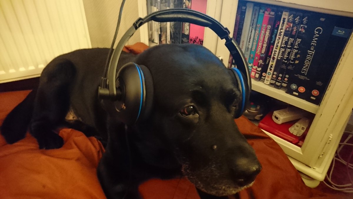 raymond garrett on twitter yeah i m a real gamer dog not like