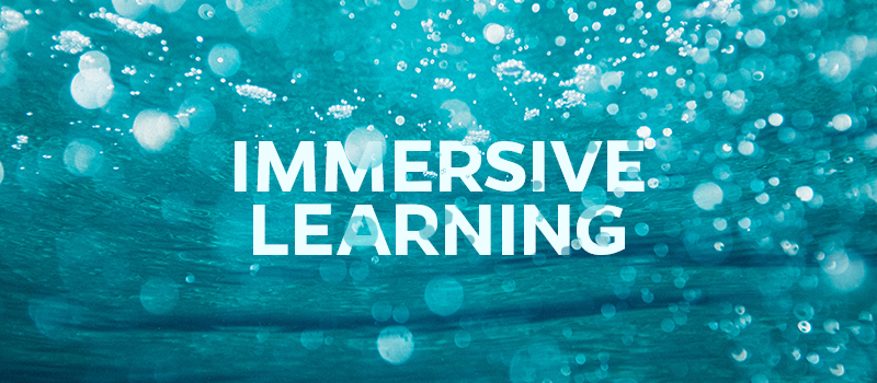 JHUCareyCareer's tweet photo. Top 5 ways immersive learning will change your career (and life). Read more: https://t.co/te7cdMUcPx #JHUCarey #FlexMBA #MBA #bschool #Hopkins #education https://t.co/4oFyweLvZX