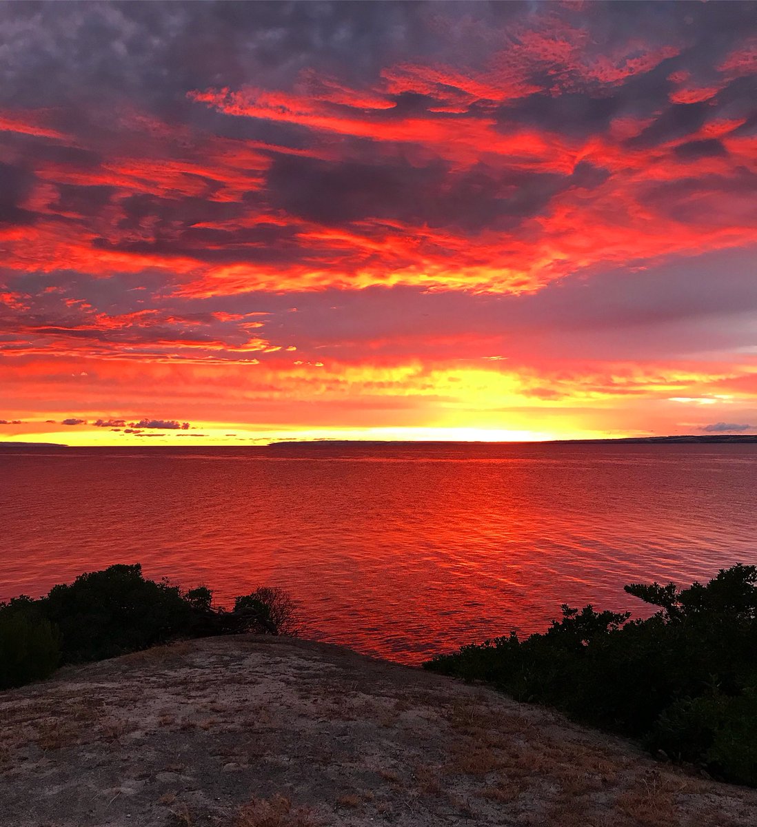 MrSamMac's tweet photo. Hey Kangaroo Island...Are you a dance floor during Strawberry Kisses? Because you are lit🔥Camera:iPhone7 Lens:Standard Issue #ProfeshPhotog https://t.co/RUGpaNltYa
