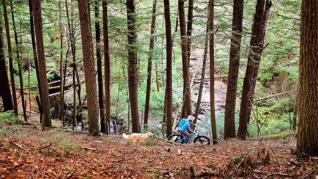 TourignyAlex's tweet photo. Alexandra & Oliver riding some beautiful trails at Bear Brook.
.
.
#mtb #moutainbike #mansbestfriend #traildog #singletrack #getoutside #getoutsidenh #rideNH #explore #exploremore #goatworthy #adventure #lifestyle #photography #outdoor #mountains #winter… https://t.co/BL2CPJbowZ https://t.co/bS05qhoRNR