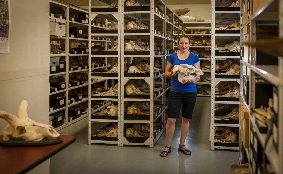 UFNews's tweet image. Why are we shining a light on women scientists? Because for too long they were invisible. #WomenInSTEM #BecomingVisible Full series: adobe.ly/2AuIe1Y