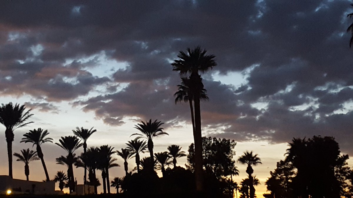 Sunset and palms at the beautiful Wigwam resort west of Phoenix. Another day ahead at the #WVMediaClassic #WVMediaClassic17. #toughlife