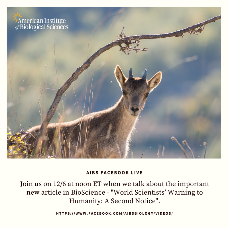 BioScienceAIBS's tweet photo. Join us in 30 minute when we go on #facebooklive to talk about the important new article in #BioScience - "World Scientists’ Warning to Humanity: A Second Notice". #aibs #openscience #secondnotice https://t.co/b3Zhn6Zj29 https://t.co/zJNFUSXusX