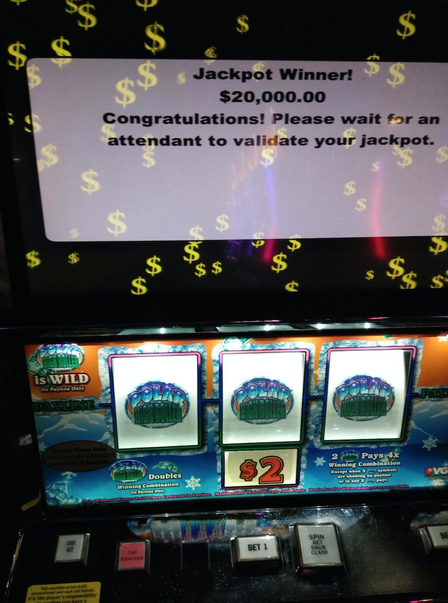 Polar High Roller Slot Wins Polar High Roller Slot Wins