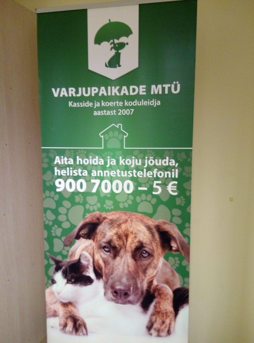 lemmiki's tweet photo. Jõuluaeg on heade tegude aeg. Käisime üheskoos Tallinna loomade varjupaigas koeri jalutamas ja teiste loomadega mängimas. Suur-suur aitäh kõigile, kes osalesid ja parema maailma loomisesse oma panuse andsid! #EY25 #BetterBeginsWithYou #EYEstonia https://t.co/SVHLywqabo