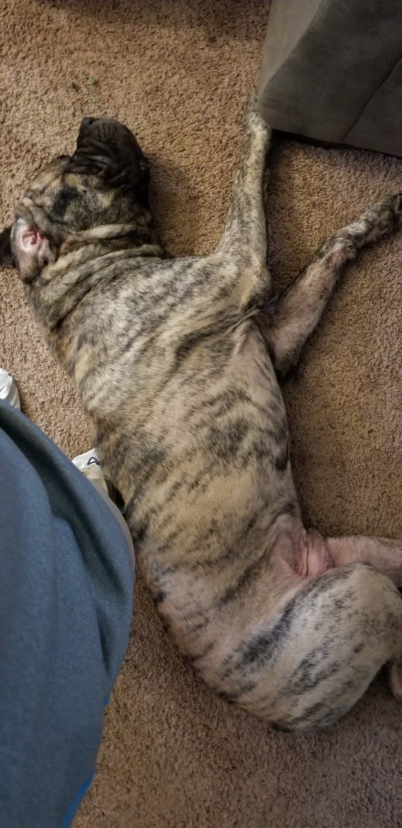 Ty Butler tweet media