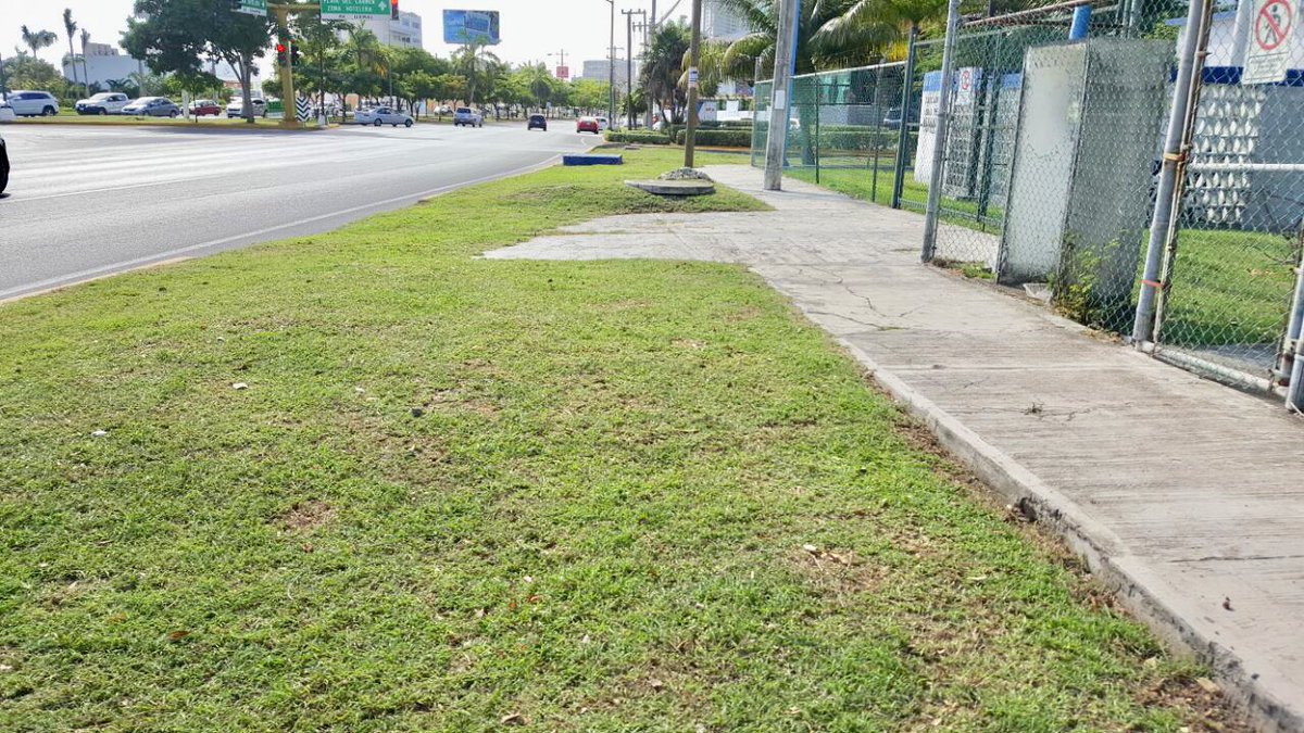 #BrigadasVerdes realizan trabajos de limpieza y chapeo en el camellon de la Av. Uxmal desde Bonampak a la Av. Nader #NoPararemos

<a href="/rembertoestrada/">Remberto Estrada</a> <a href="/AFonsecaL/">Antonio Fonseca Leon</a> <a href="/RogerEspinosaR/">Roger EsPro</a> <a href="/gbrahms/">Guillermo Brahms🇲🇽</a>