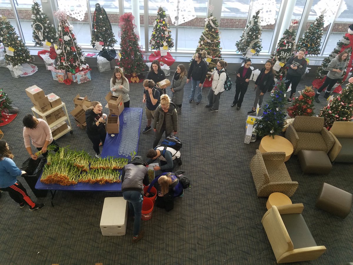 MMU_Engage's tweet photo. Get lucky with M2AP Board! Lucky Bamboo until 1pm or until gone in the UC! #MMUengage #MMUpride #stressbusterweek https://t.co/zgZUrF1dl5