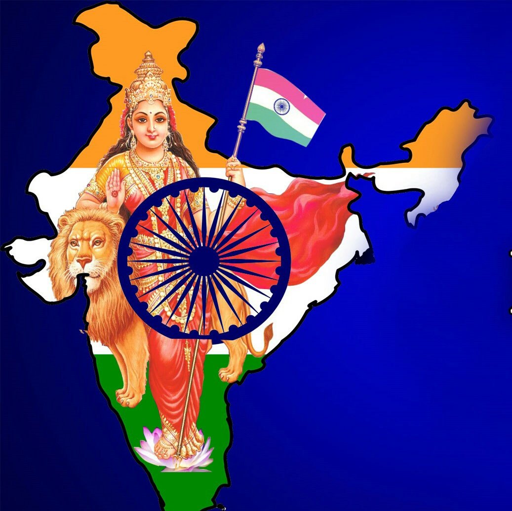 Sarah David tweet media