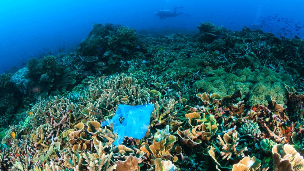 LaraSwanLive's tweet photo. “Nations have agreed that the world needs to completely stop plastic waste from entering the oceans." BUT "The UN resolution... has no timetable and is not legally binding.” At least the acknowledgment is clear. But tragically slow! https://t.co/A52QYrTrNZ https://t.co/6rPMU6728T