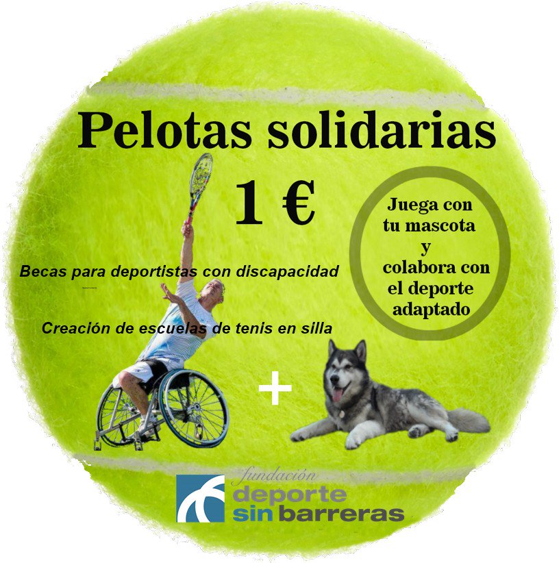Deporte Sin Barreras tweet media