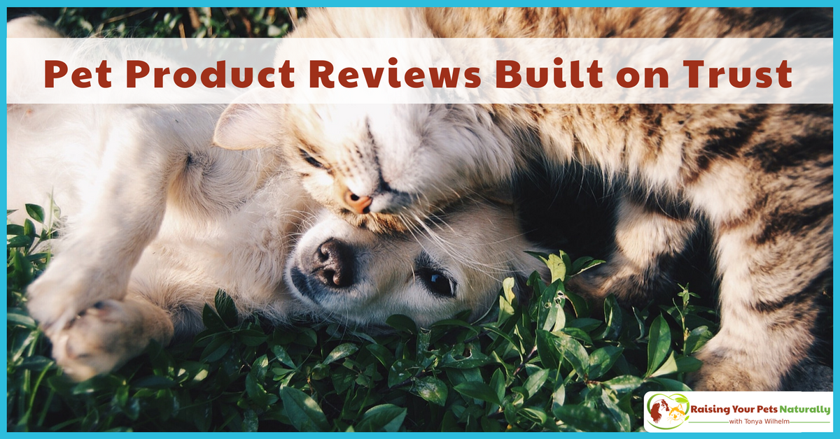 dogtrainer4ever's tweet photo. #Reviews Built on Trust. #RaisingYourPetsNaturally #PetProductReviews https://t.co/rh2830zaXu #prrequest #bloggerrequest #petblogger #petbloggers #healthypets #greenpets #naturaldogs #realfoodfordogs #dogfriendly #rawpets #healthydog #healthycats #naturalpet #healthypet #raw https://t.co/l9bg9P6Ae0