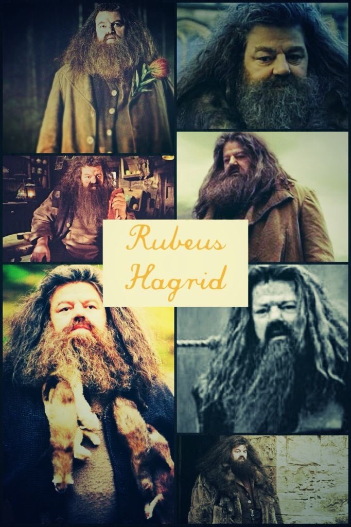HPotterUniverse's tweet photo. December 6: Happy Birthday to everyone's favorite half-giant, Rubeus Hagrid! #HappyBirthdayHagrid https://t.co/egGjrC1S9m