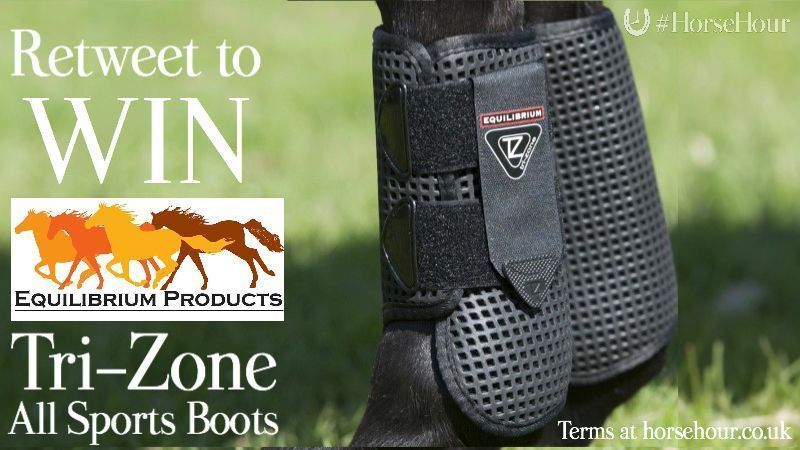 HorseHour's tweet photo. Retweet &amp; follow @EquilibriumProd to enter the draw to WIN a set of fabulous Tri-Zone All Sports Boots for your horse! Closes 6pm, Monday 11 December. #HorseHour https://t.co/MHXG7NuZ9S