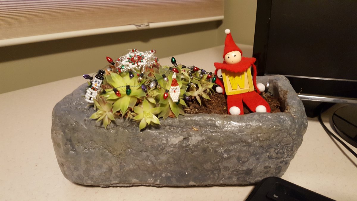 SidTheShrub's tweet photo. Christmas on a desert  island, or Isle of Misfit Toys? Either way, me likee. @CBCEyeopener https://t.co/sua7vvOj1Q