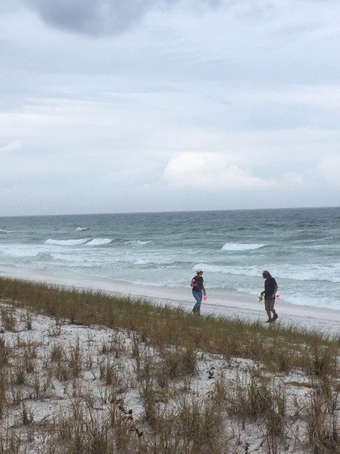 Holly Day tweet media