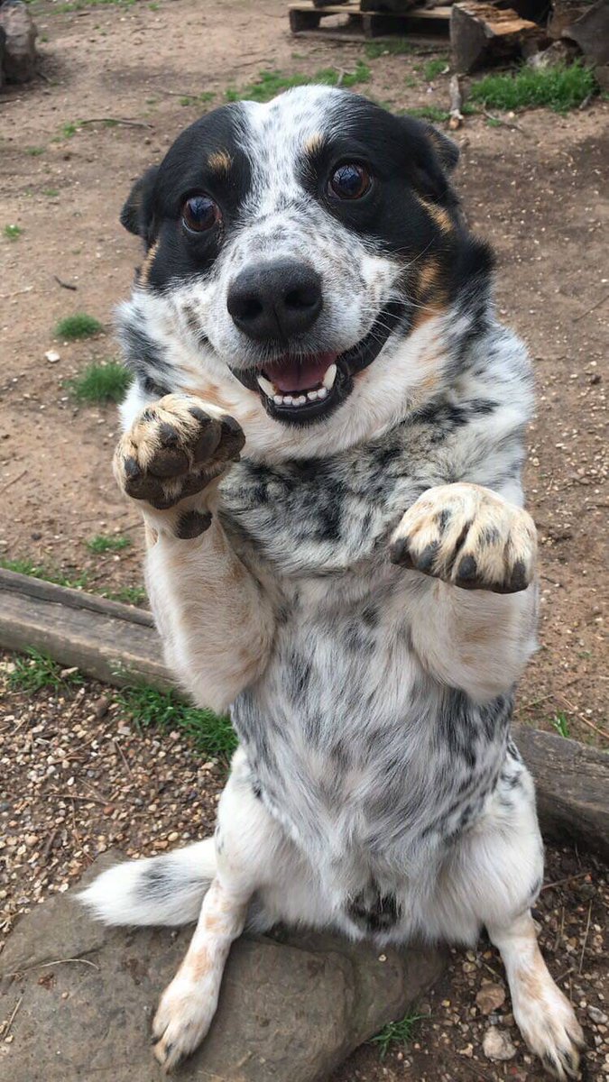 ilovefofuras's tweet image. Eles são muito puros para esse mundo.