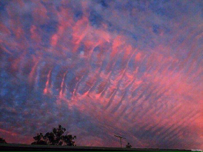 WARNING:
Pretty sunsets contain high levels of HeavyMetal nanoparticulates.
Side effects may include: #Alzheimer's, #Parkinson's #Dementia, #RespiratoryIllness, #NeurologicalDisorders, 
#Heart disorders &death. 

@OpChemtrails @HealthRanger  #JohnnyHallyday twitter.com/SteerMark/stat…