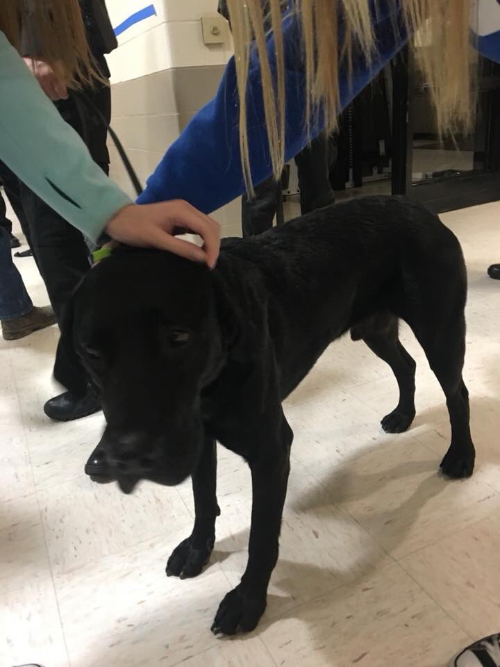 TriCoCC's tweet photo. Woof! Woof! #CriminalJustice has sophomore visit day under control.
#growTCCC | #chooseTCCC https://t.co/bf8I9vbvxC